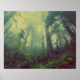 Wälder von unten poster