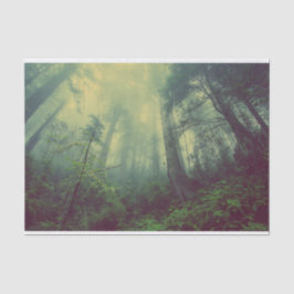 Wälder von unten seidenpapier