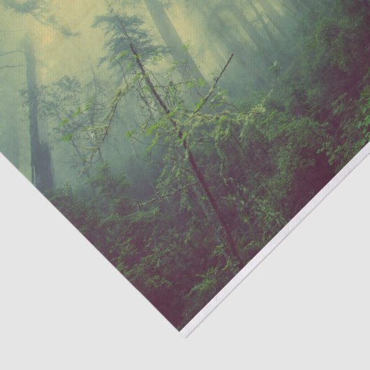 Wälder von unten seidenpapier (Ausschnitt)