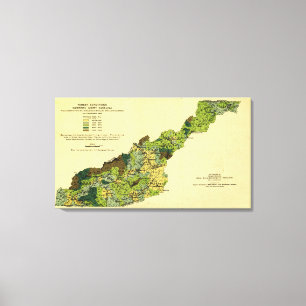 Wälder von Western NordCarolinaPanoramic Karte Leinwanddruck