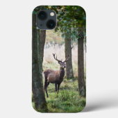 Wälder | Wälder und Rotwild Case-Mate iPhone Hülle (Rückseite)