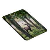 Wälder | Wälder und Rotwild Magnet (Rechte Seite)