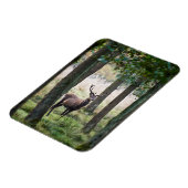Wälder | Wälder und Rotwild Magnet (Linke Seite)