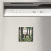 Wälder | Wälder und Rotwild Magnet (In Situ (Geschirrspüler))