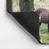 Wälder | Wälder und Rotwild Mousepad (Ecke)