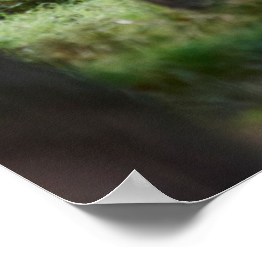 Wälder | Wälder und Rotwild Poster (Ecke)