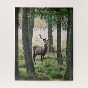 Wälder Wälder und Rotwild Puzzle