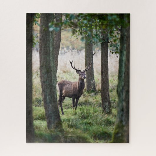 Wälder | Wälder und Rotwild Puzzle (Vertikal)