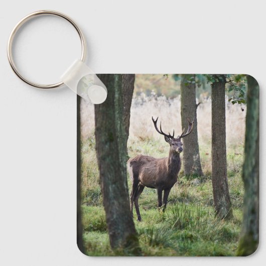 Wälder | Wälder und Rotwild Schlüsselanhänger (Vorderseite)