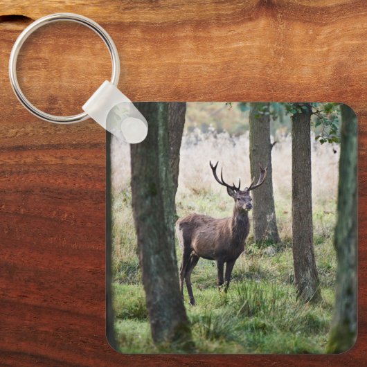 Wälder | Wälder und Rotwild Schlüsselanhänger (Vorderseite)
