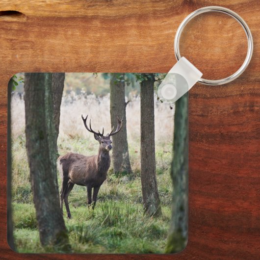 Wälder | Wälder und Rotwild Schlüsselanhänger (Rückseite)