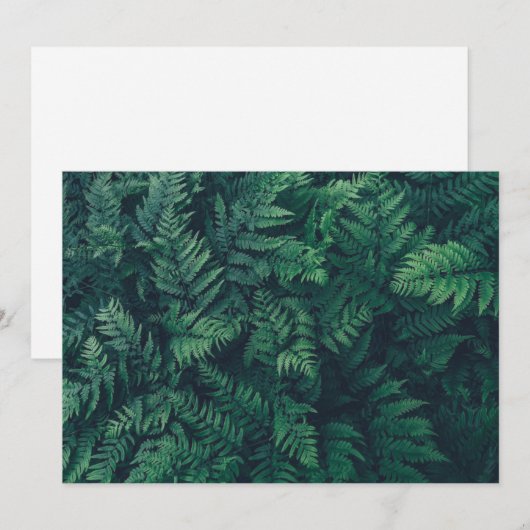 Wälder | Waldflächen Ferne Dankeskarte (Vorne/Hinten)