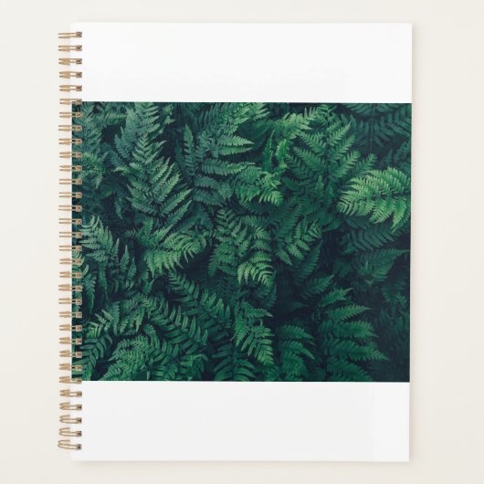 Wälder | Waldflächen Ferne Planer (Vorderseite)