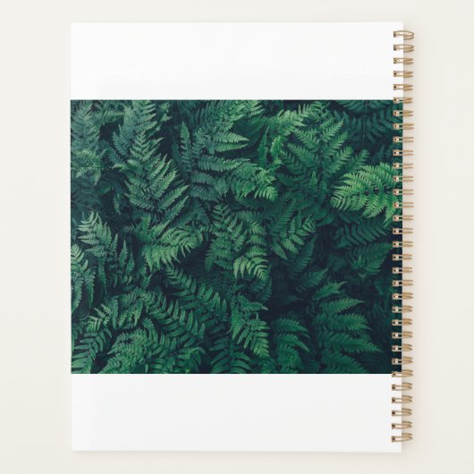 Wälder | Waldflächen Ferne Planer (Rückseite)