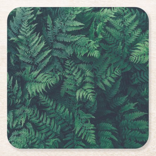 Wälder | Waldflächen Ferne Rechteckiger Pappuntersetzer (Vorderseite)