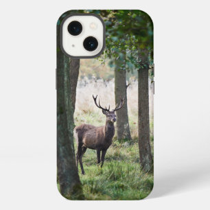 Wälder Waldgebiete & Rothirsche iPhone 13 Hülle