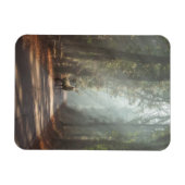 Wälder | Waldland Stag Magnet (Horizontal)