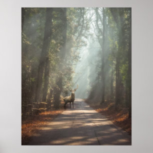 Wälder   Waldland Stag Poster