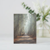 Wälder | Waldland Stag Postkarte (Stehend Vorderseite)