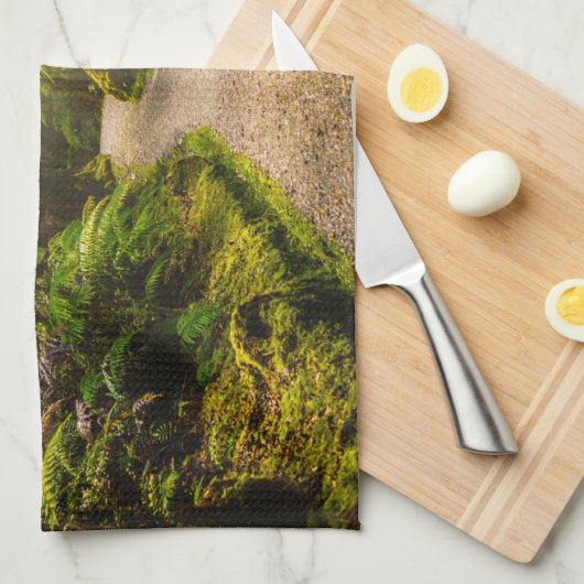 Wälder | Waldwanderweg Geschirrtuch (Viertel Falte)