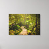 Wälder | Waldwanderweg Leinwanddruck (Vorderseite)