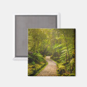 Wälder | Waldwanderweg Magnet (Vorderseite/Rückseite)