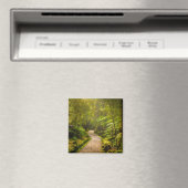 Wälder | Waldwanderweg Magnet (In Situ (Geschirrspüler))
