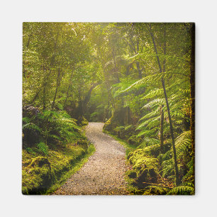 Wälder Waldwanderweg Magnet