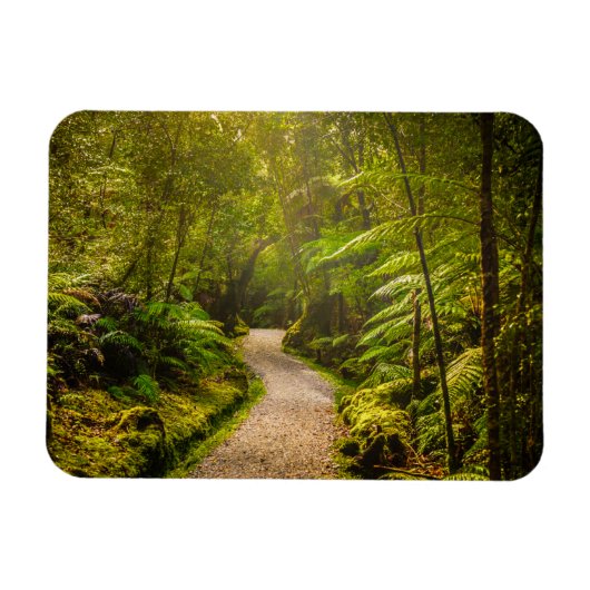 Wälder | Waldwanderweg Magnet (Horizontal)