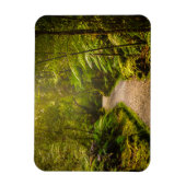 Wälder | Waldwanderweg Magnet (Vertikal)