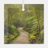 Wälder | Waldwanderweg Ornament Aus Glas (Vorderseite)