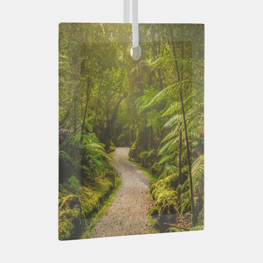 Wälder | Waldwanderweg Ornament Aus Glas (Vorderseite Rechts)