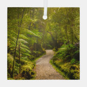 Wälder | Waldwanderweg Ornament Aus Glas (Rückseite)