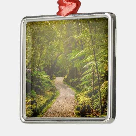 Wälder | Waldwanderweg Ornament Aus Metall (Links)