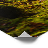 Wälder | Waldwanderweg Poster (Ecke)