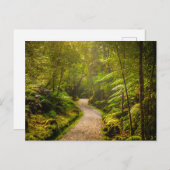 Wälder | Waldwanderweg Postkarte (Vorne/Hinten)