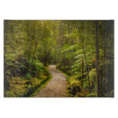 Wälder | Waldwanderweg Schneidebrett (Vorderseite)