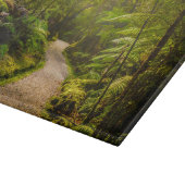 Wälder | Waldwanderweg Schneidebrett (Ecke)