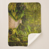 Wälder | Waldwanderweg Sherpadecke (Vorderseite)