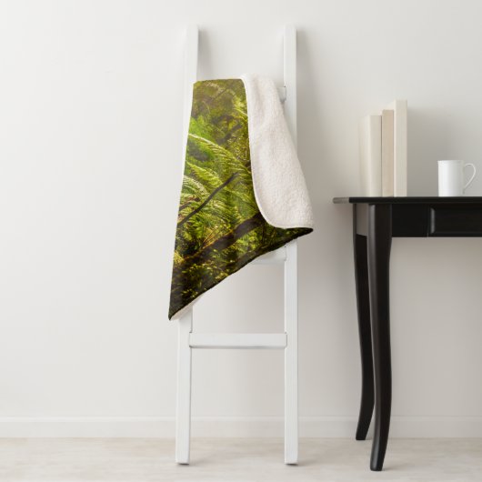 Wälder | Waldwanderweg Sherpadecke (Beispiel)