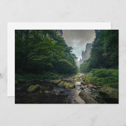 Wälder | Zhangjiajajie National Forest Park Dankeskarte (Vorne/Hinten)