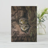 Wälder | Zwei Eulen schauen Dankeskarte (Stehend Vorderseite)