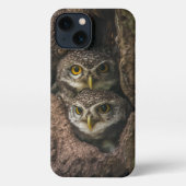 Wälder | Zwei Eulen schauen iPhone Hülle (Rückseite)