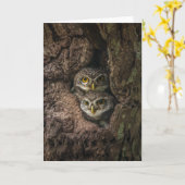 Wälder | Zwei Eulen schauen Karte (Gelbe Blume)