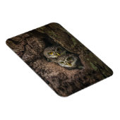 Wälder | Zwei Eulen schauen Magnet (Rechte Seite)