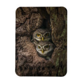 Wälder | Zwei Eulen schauen Magnet (Vertikal)