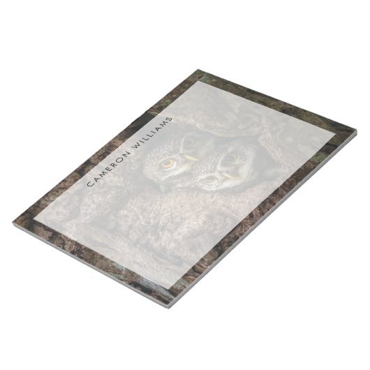 Wälder | Zwei Eulen schauen Notizblock (angewinkelt)