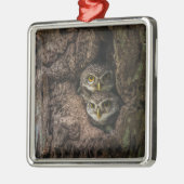 Wälder | Zwei Eulen schauen Ornament Aus Metall (Links)