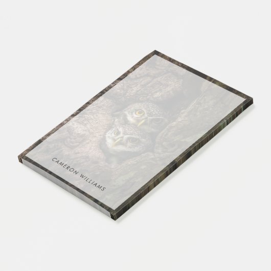 Wälder | Zwei Eulen schauen Post-it Klebezettel (angewinkelt)