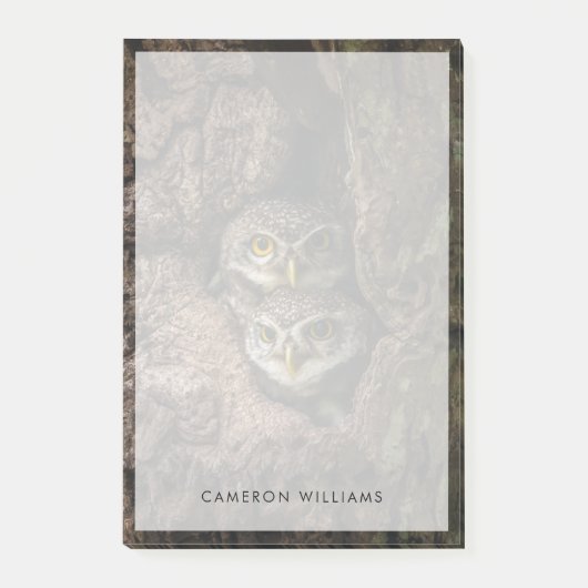 Wälder | Zwei Eulen schauen Post-it Klebezettel (Vorderseite)